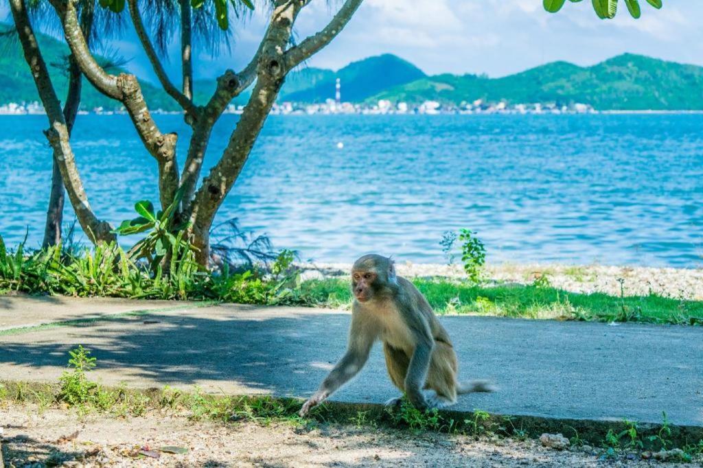 La Mer Hotel Nha Trang Zewnętrze zdjęcie